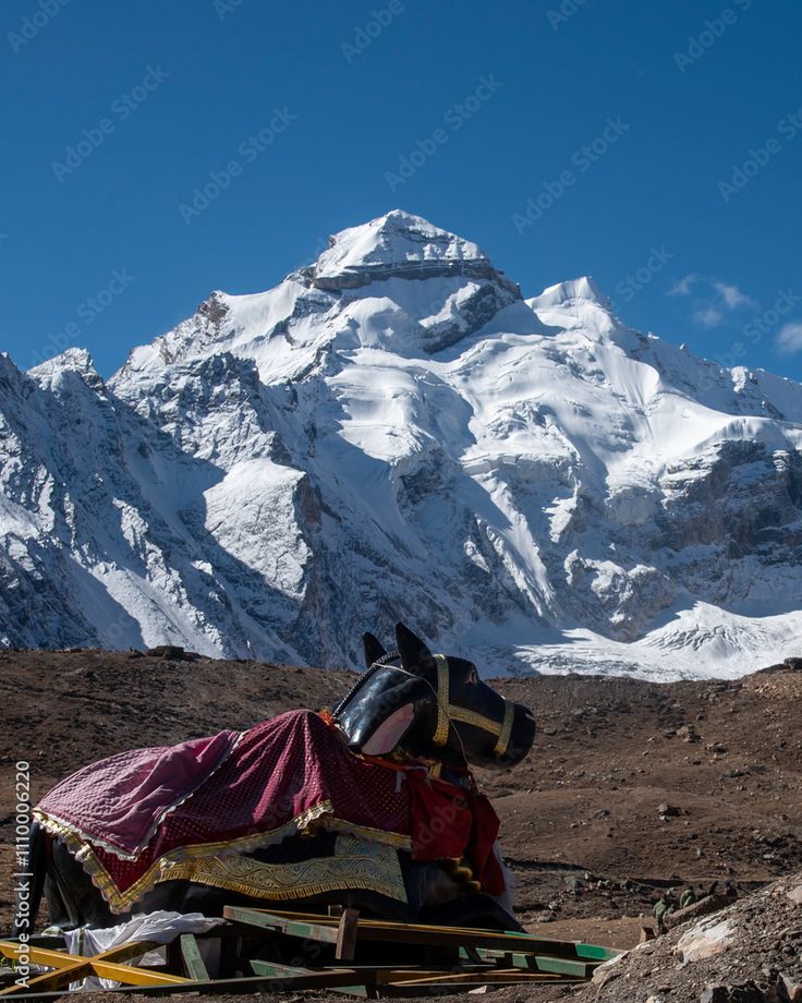 Badrinath 2